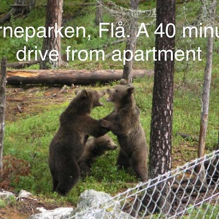 Garden Apartment In 高尔 外观 照片